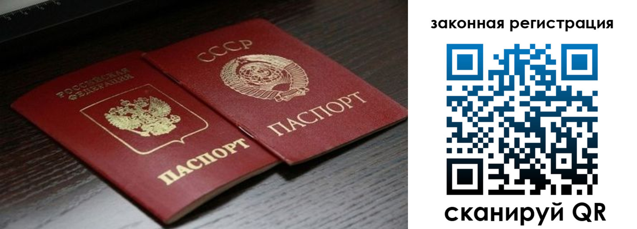 прописка поиск в Кондрово